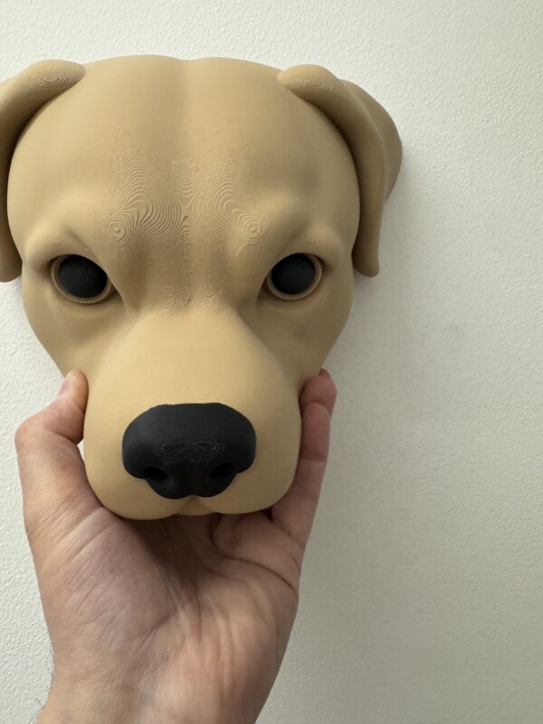 3D Dog Head Wall Art – Bold Labrador-Inspired Statement Decor - Image 2